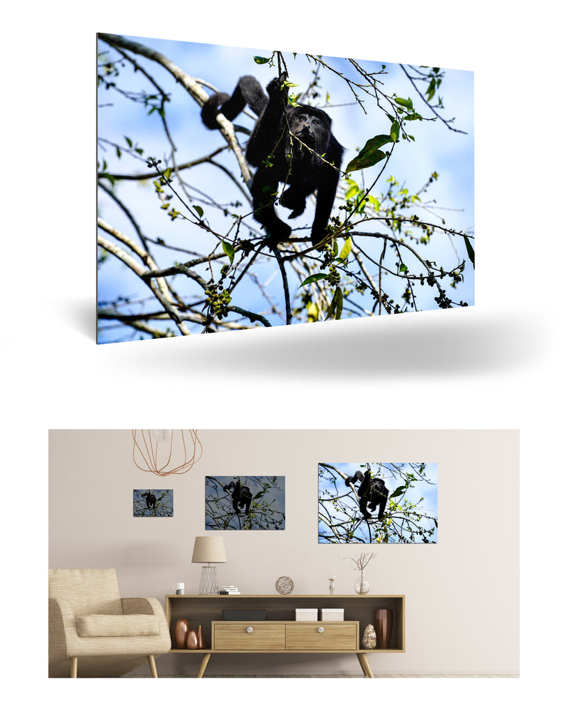 Belize, Zentralamerika