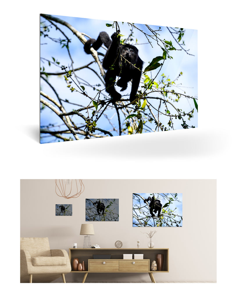 Belize, Zentralamerika