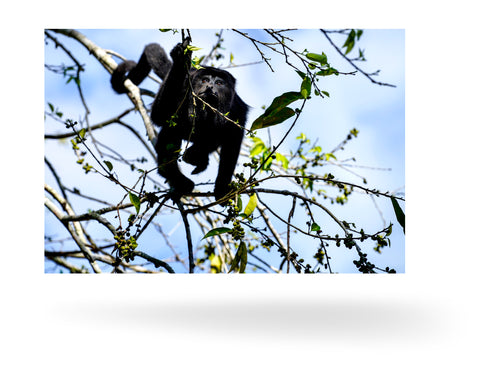 Belize, Zentralamerika