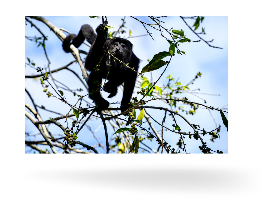 Belize, Zentralamerika