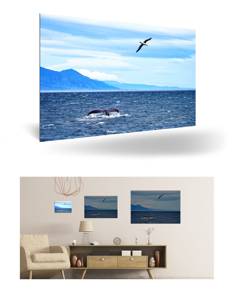 Ushuaia, Argentinien