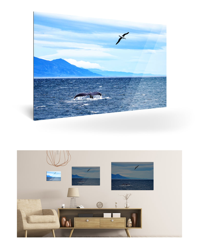 Ushuaia, Argentinien