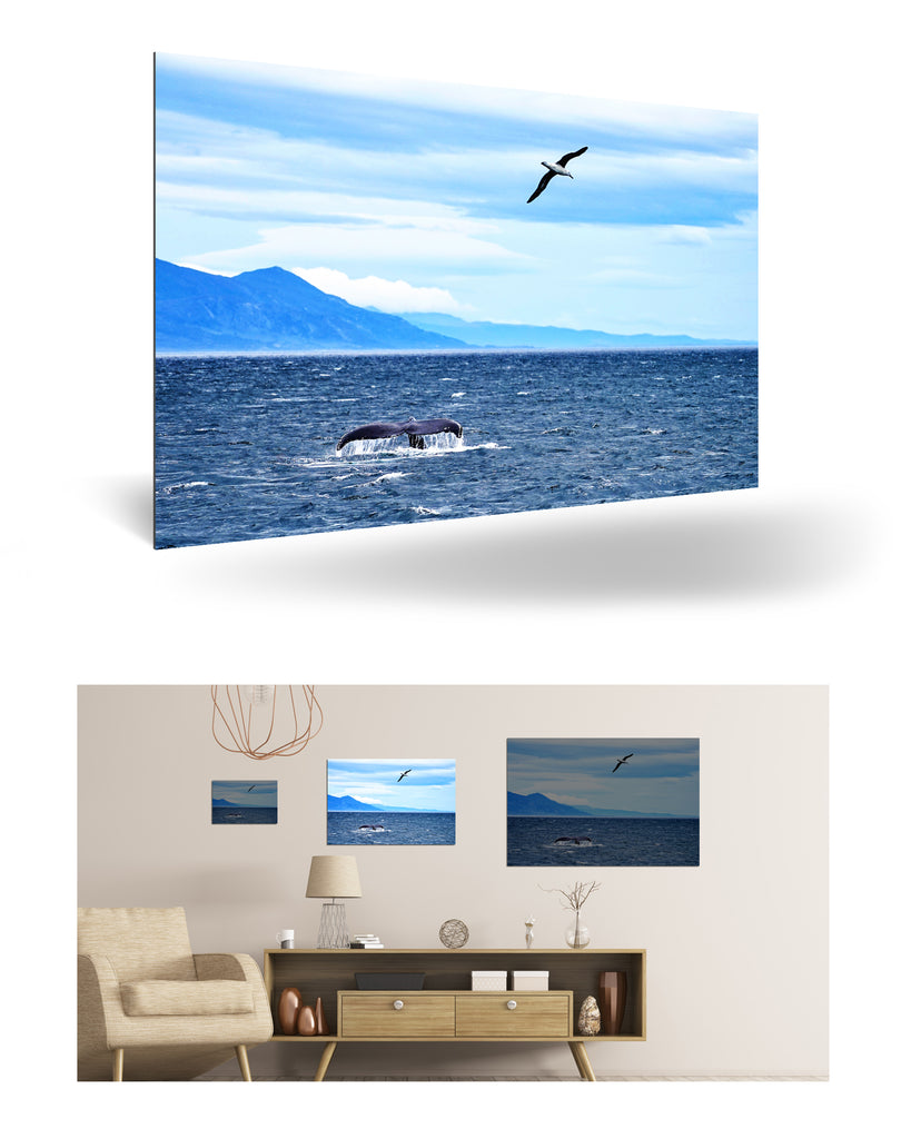 Ushuaia, Argentinien