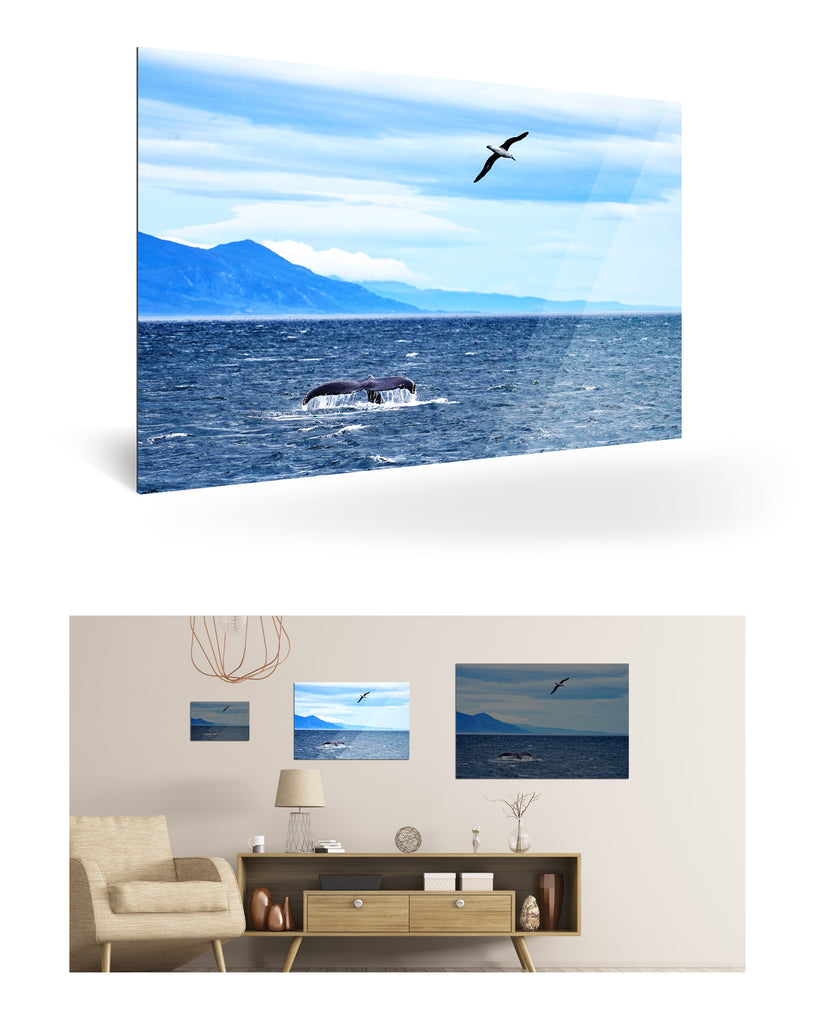 Ushuaia, Argentinien