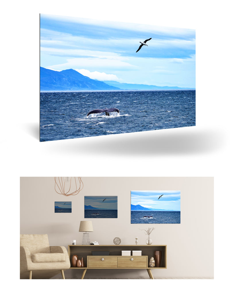 Ushuaia, Argentinien