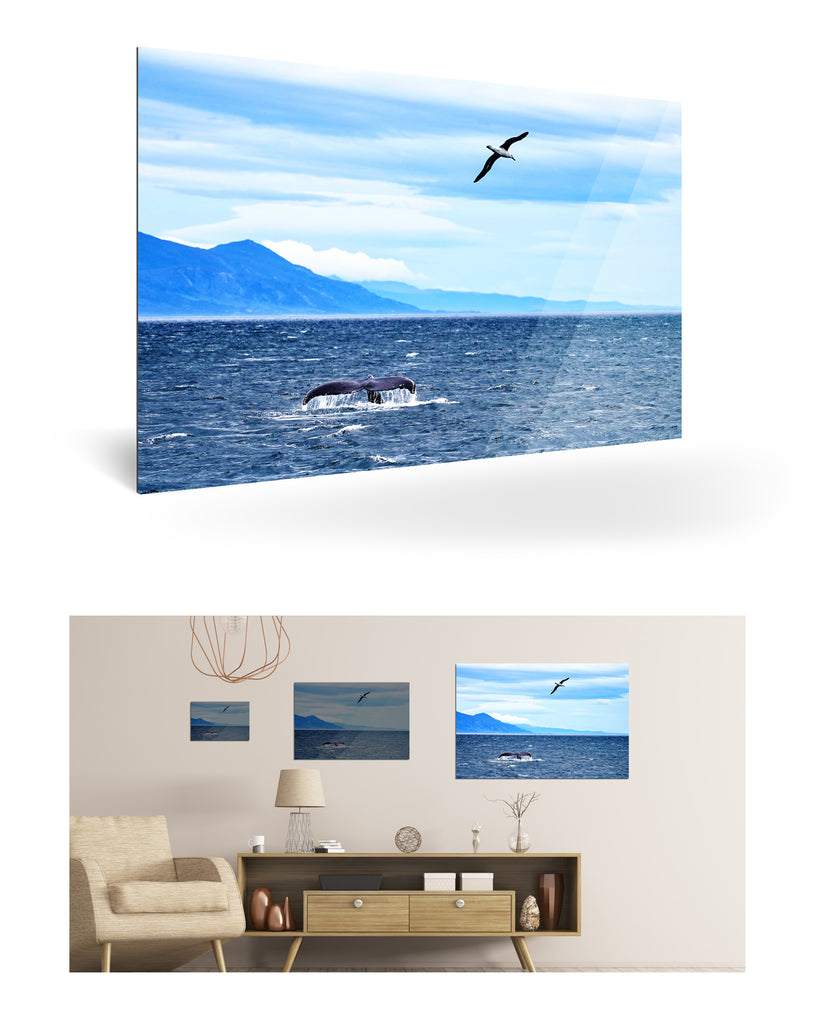 Ushuaia, Argentinien