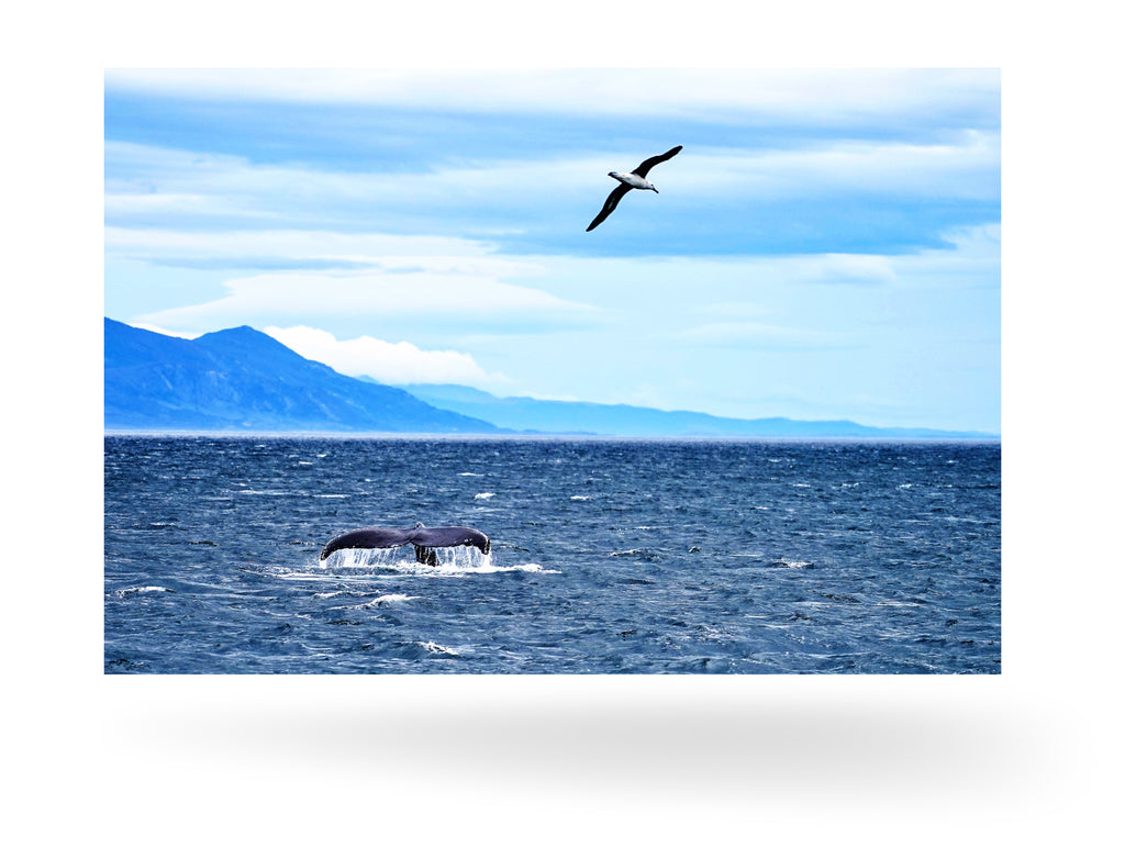 Ushuaia, Argentinien