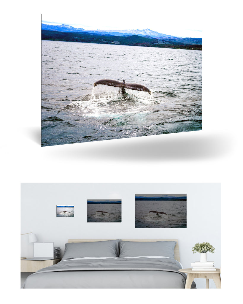 Ushuaia, Argentinien