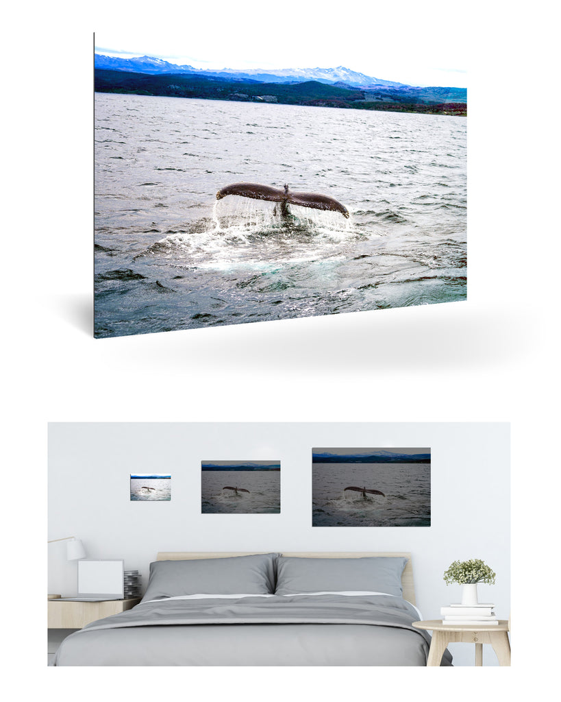 Ushuaia, Argentinien