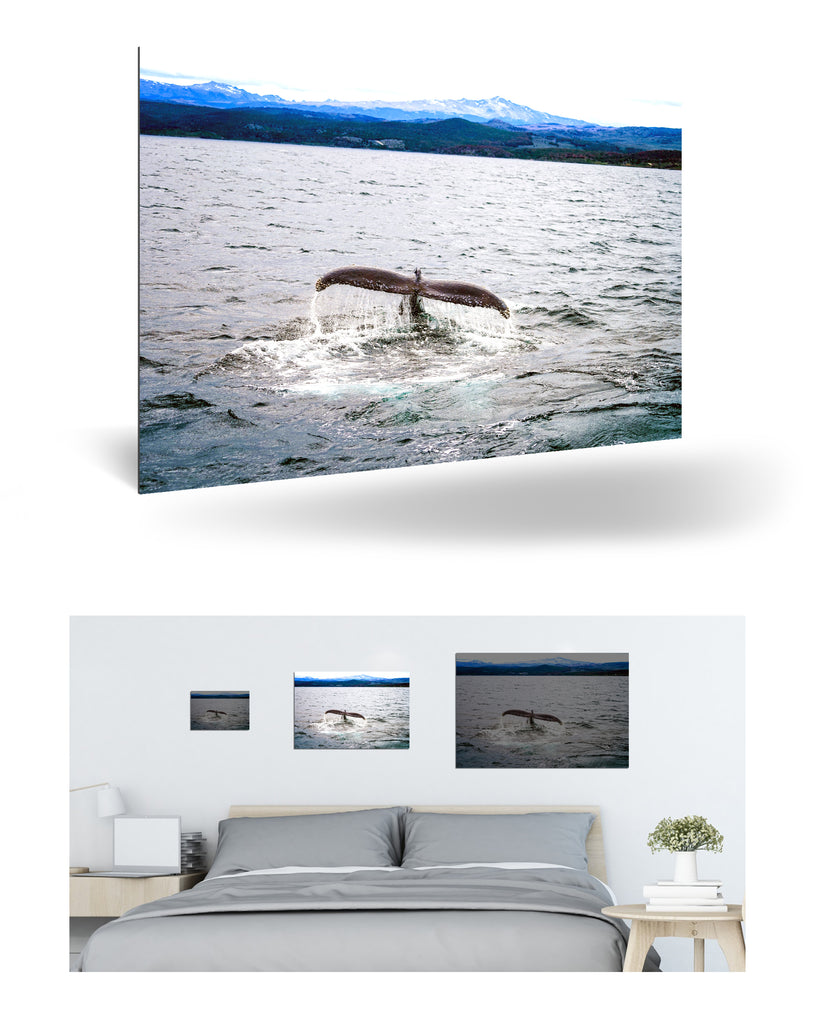 Ushuaia, Argentinien