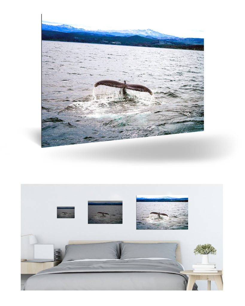 Ushuaia, Argentinien