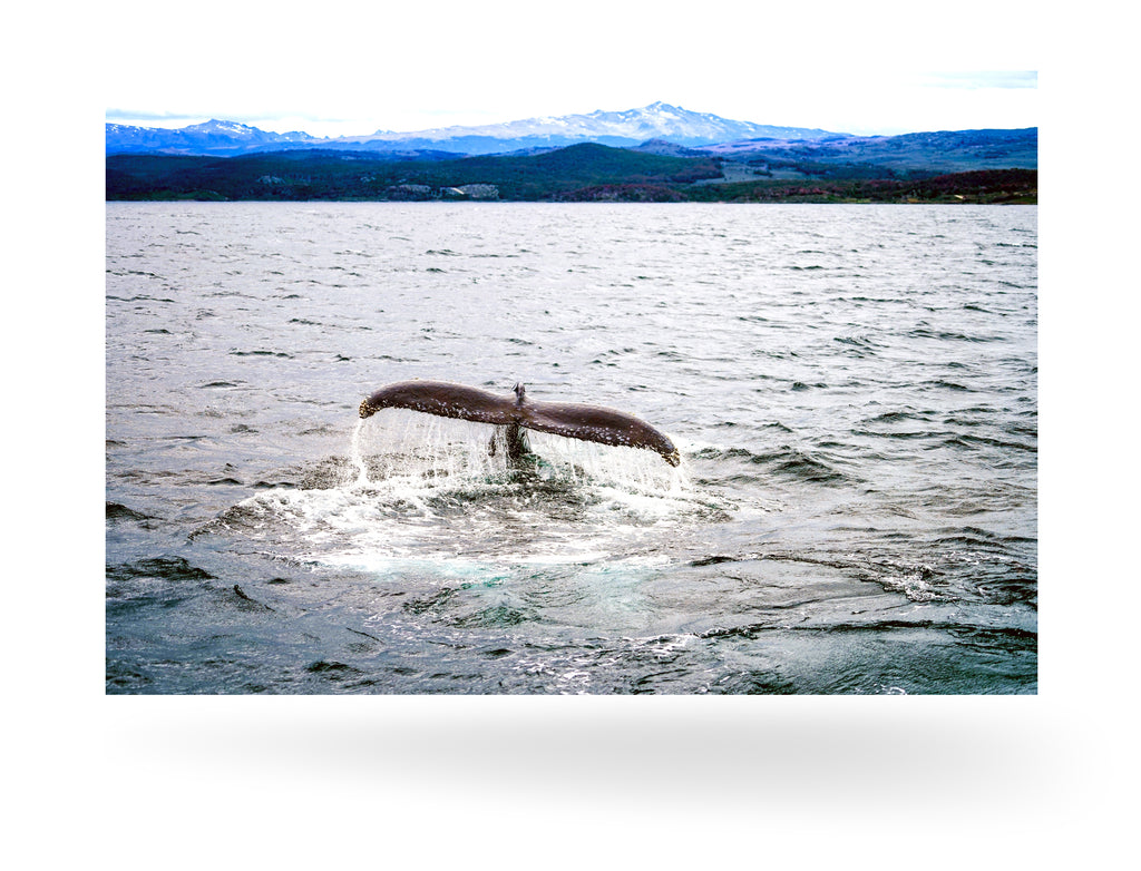 Ushuaia, Argentinien