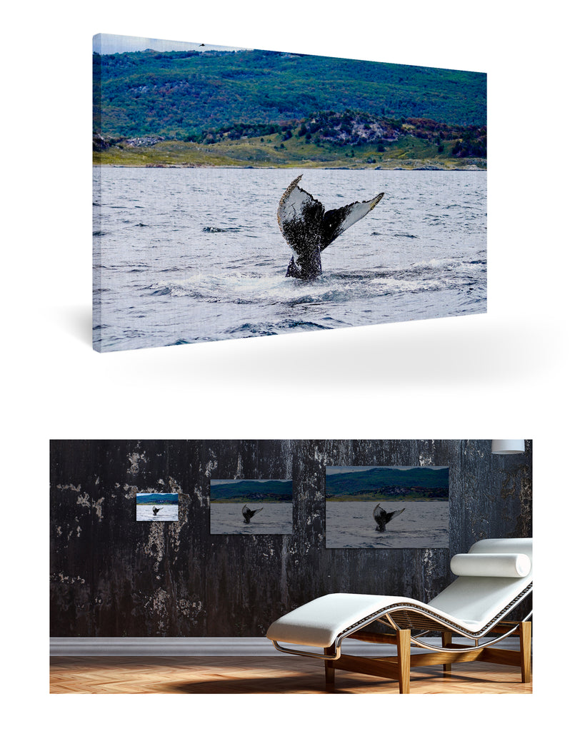 Ushuaia, Argentinien