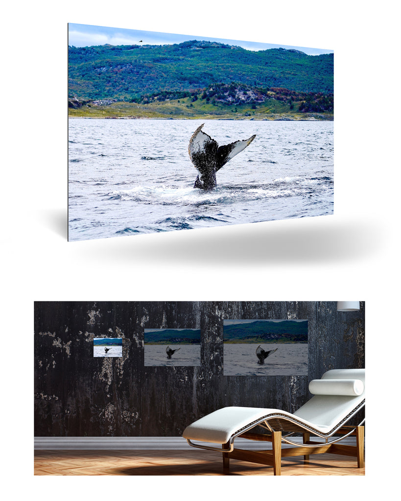 Ushuaia, Argentinien