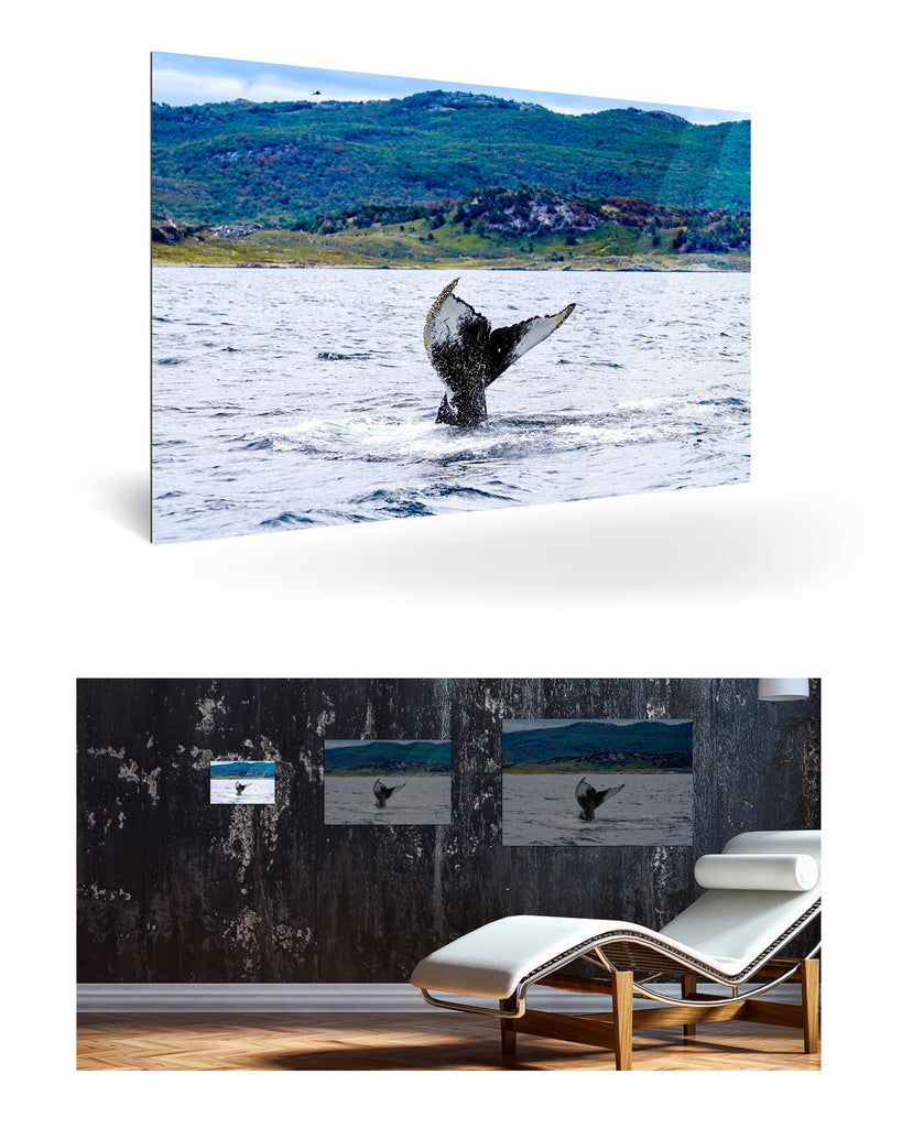 Ushuaia, Argentinien