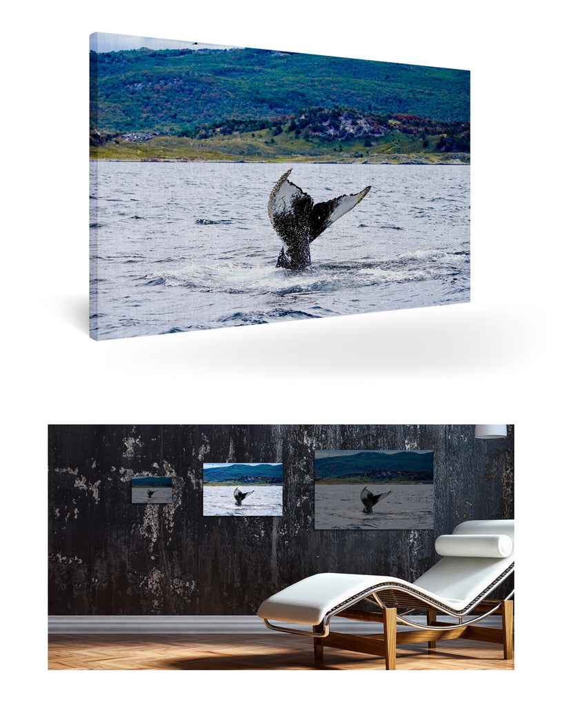 Ushuaia, Argentinien