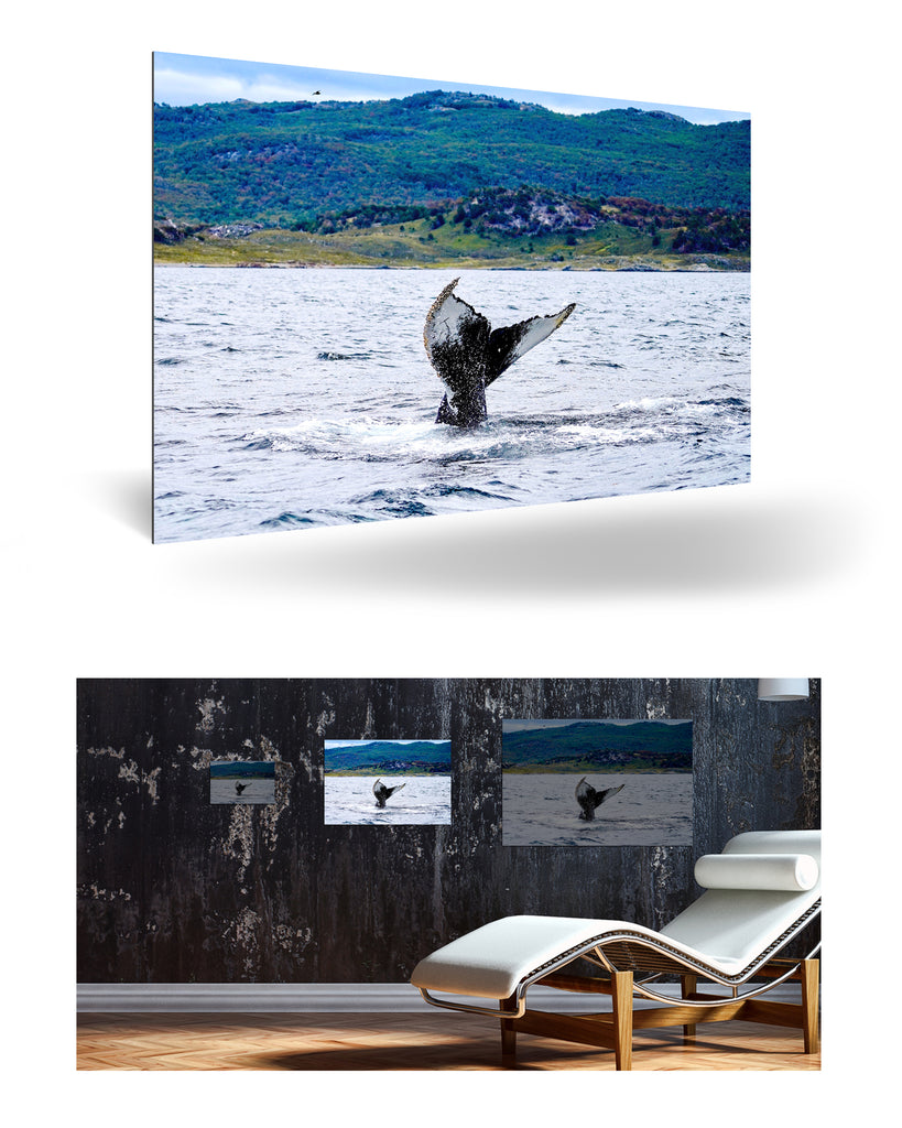 Ushuaia, Argentinien