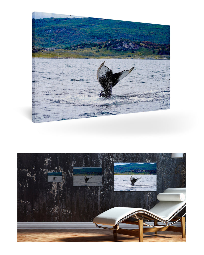 Ushuaia, Argentinien