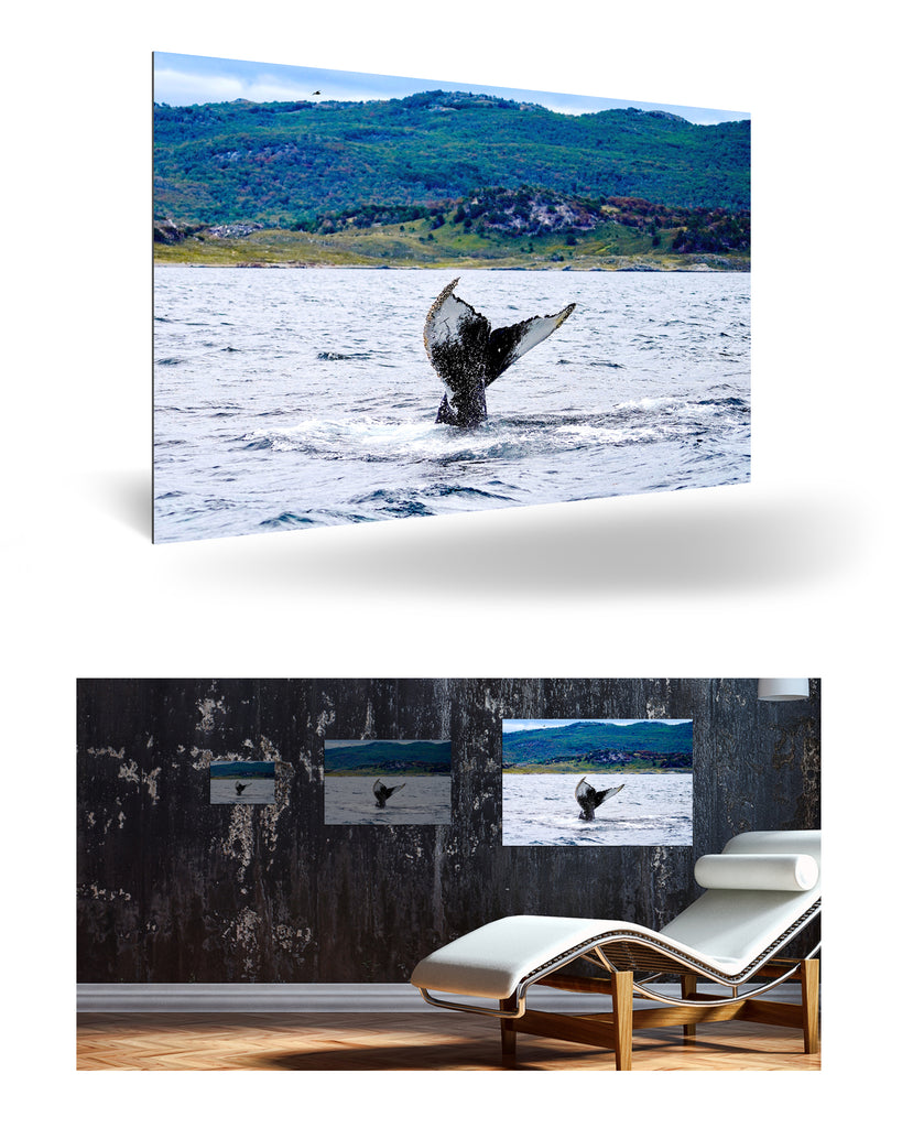 Ushuaia, Argentinien