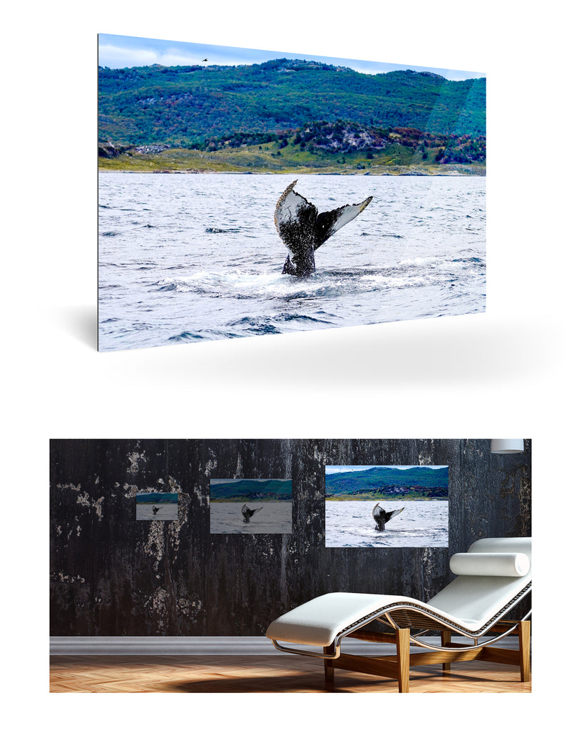 Ushuaia, Argentinien