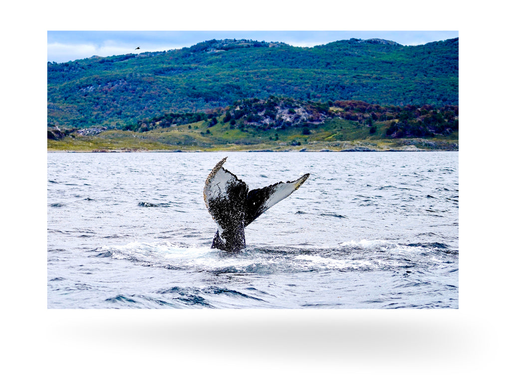 Ushuaia, Argentinien