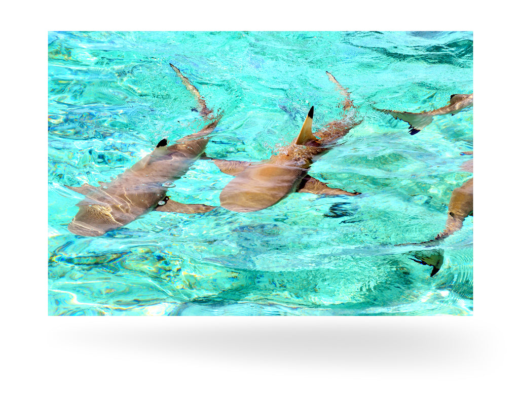 Bora Bora, Französisch-Polynesien