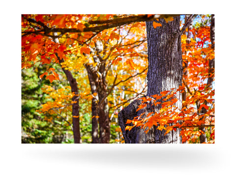 Bar Harbour, Vereinigte Staaten