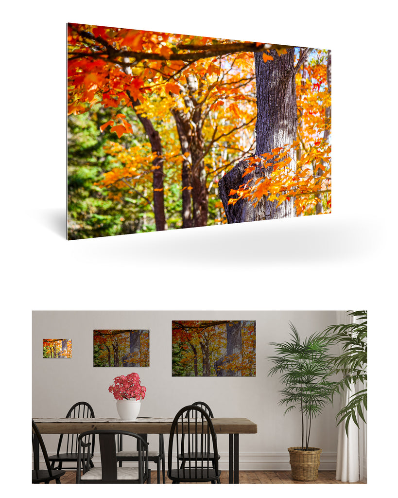 Bar Harbour, Vereinigte Staaten