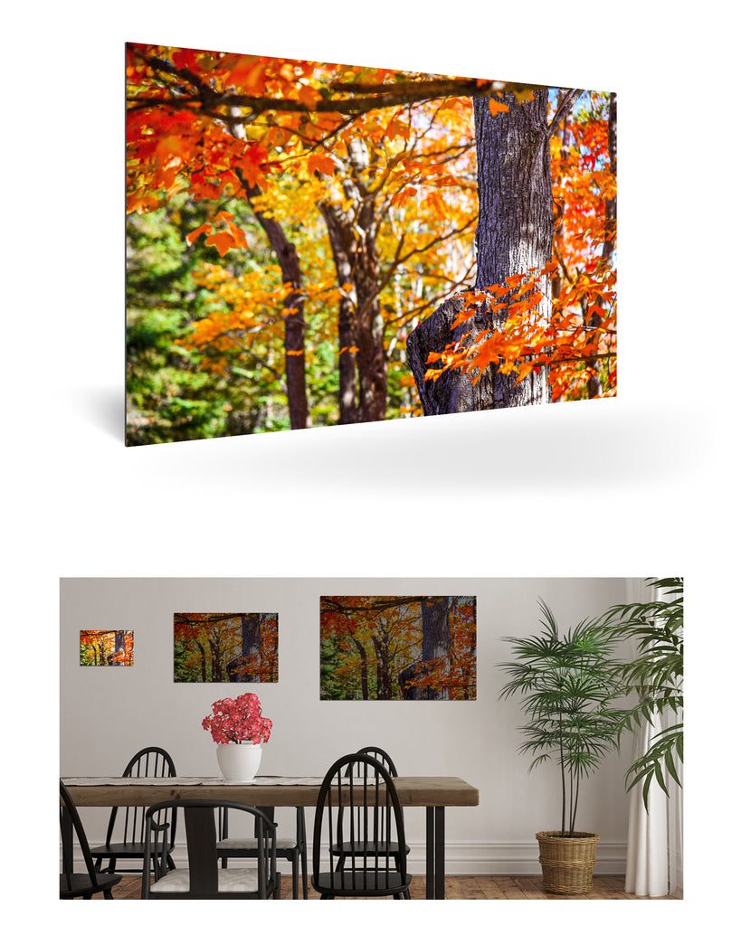 Bar Harbour, Vereinigte Staaten