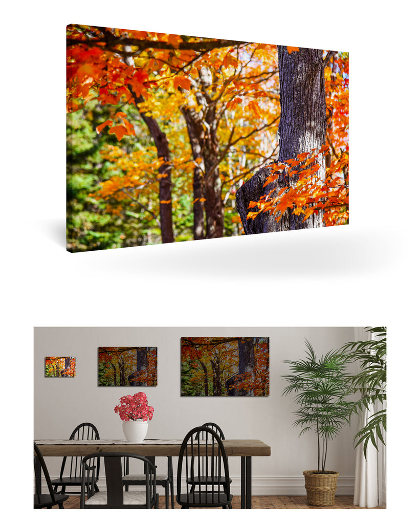 Bar Harbour, Vereinigte Staaten