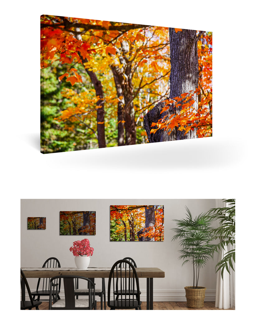 Bar Harbour, Vereinigte Staaten