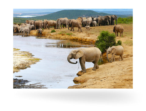 Port Elizabeth,Südafrika