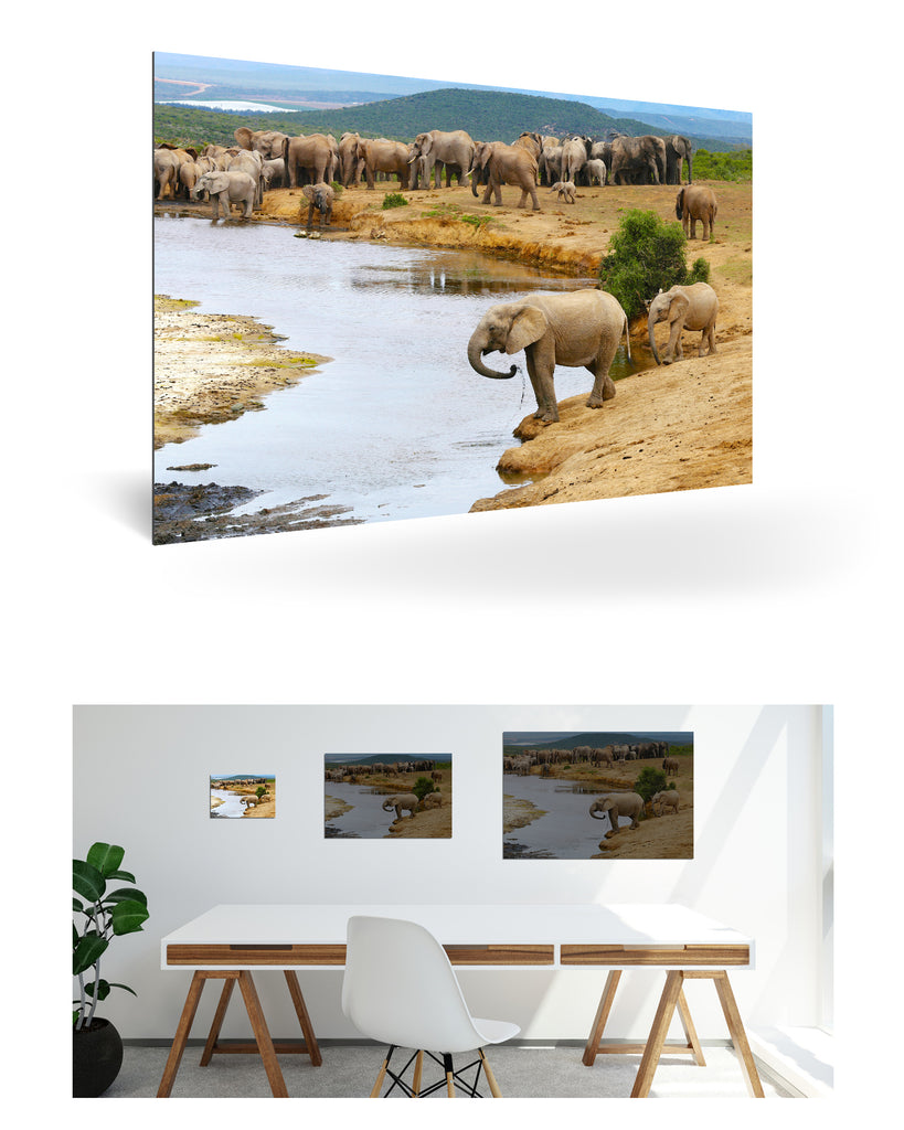 Port Elizabeth,Südafrika