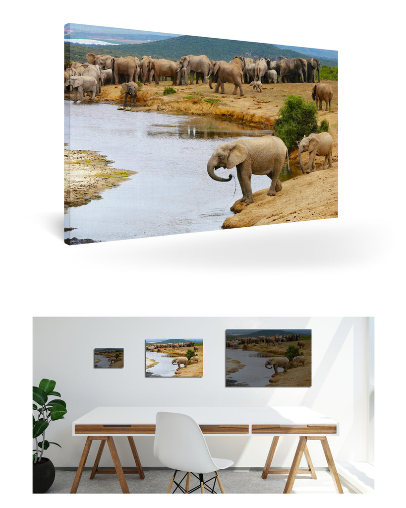 Port Elizabeth,Südafrika