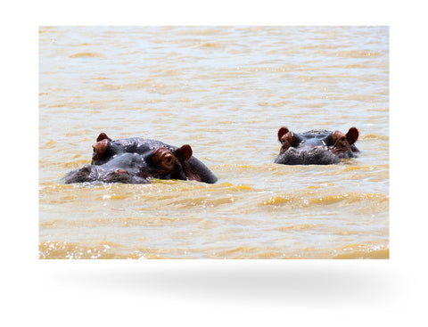 Richards Bay, Südafrika