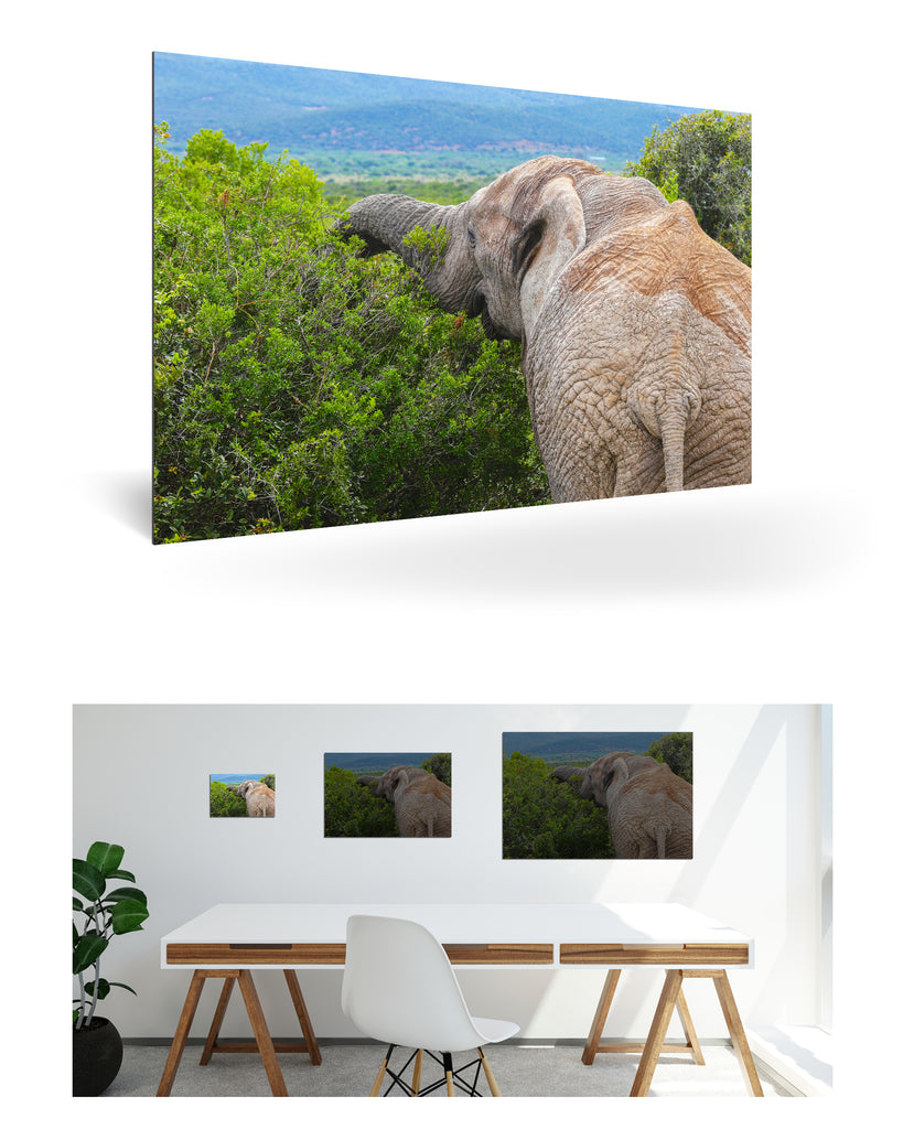 Port Elizabeth, Südafrika