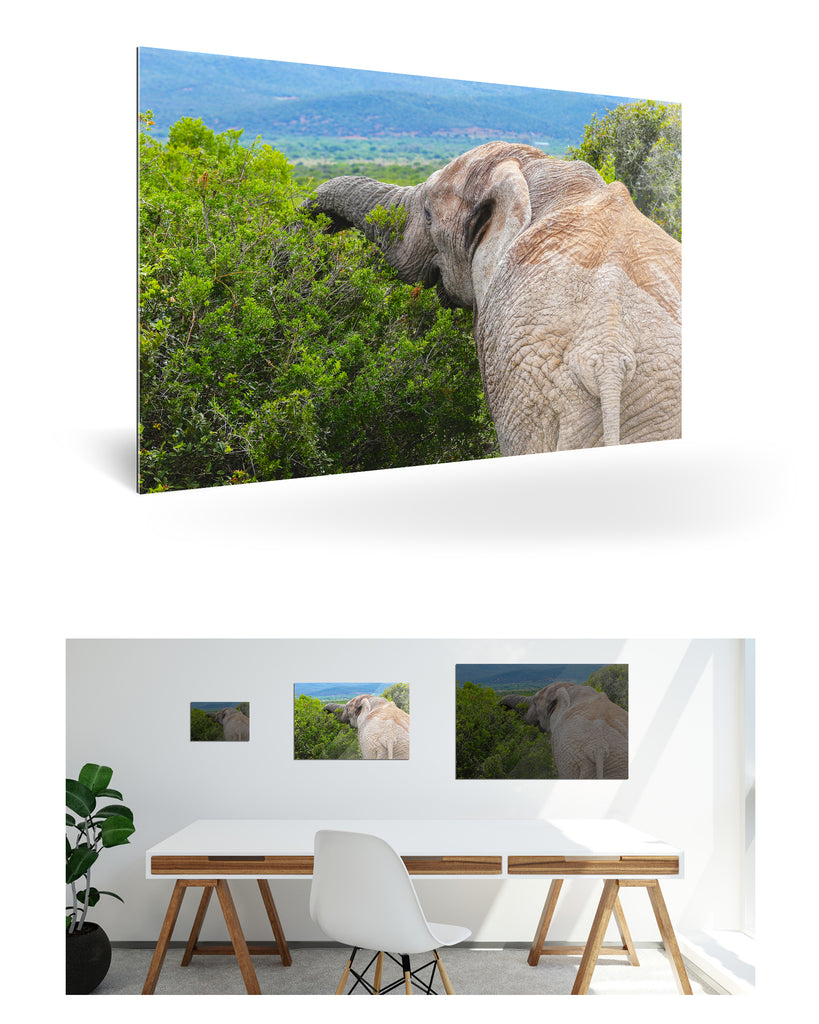 Port Elizabeth, Südafrika