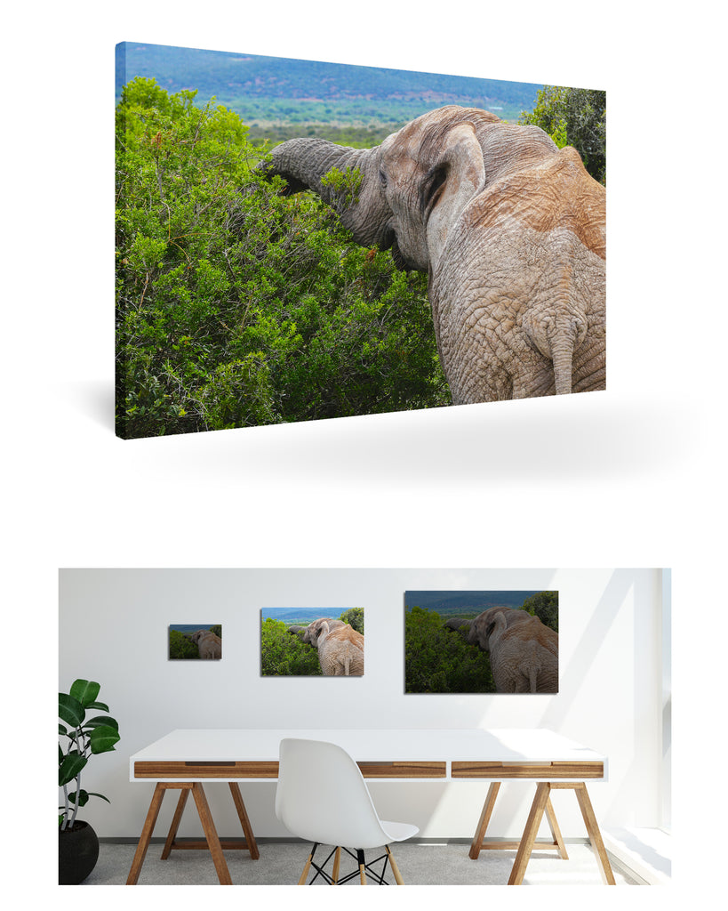 Port Elizabeth, Südafrika