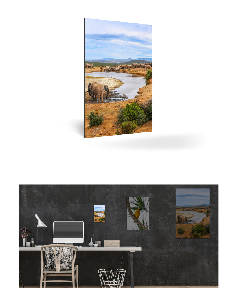 Port Elizabeth, Südafrika