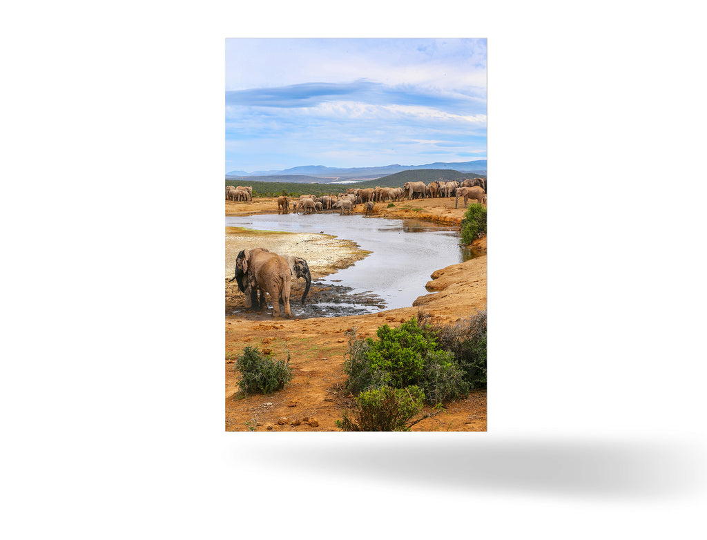 Port Elizabeth, Südafrika