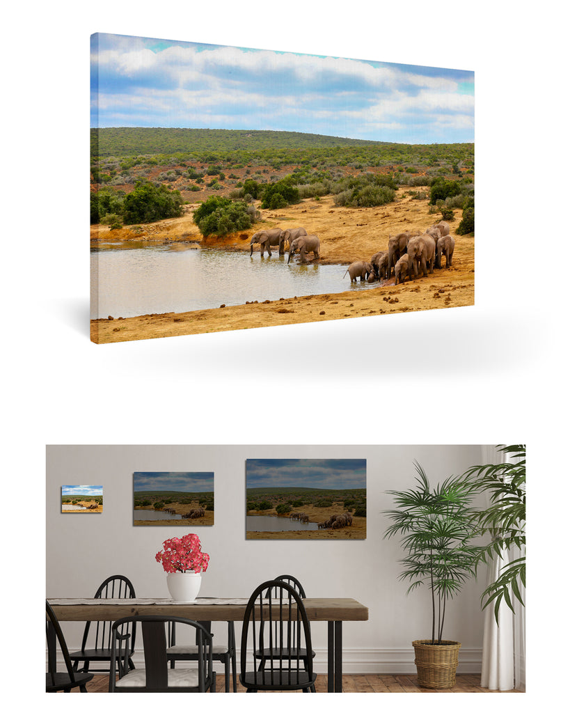 Port Elizabeth, Südafrika