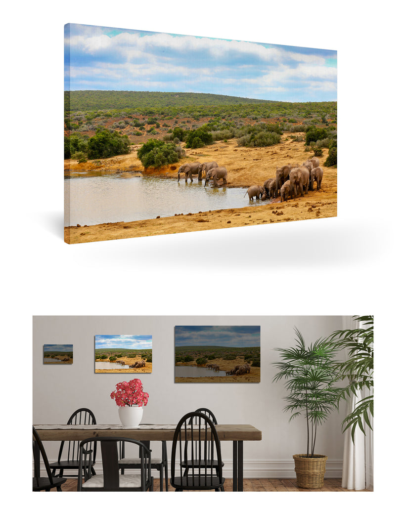 Port Elizabeth, Südafrika