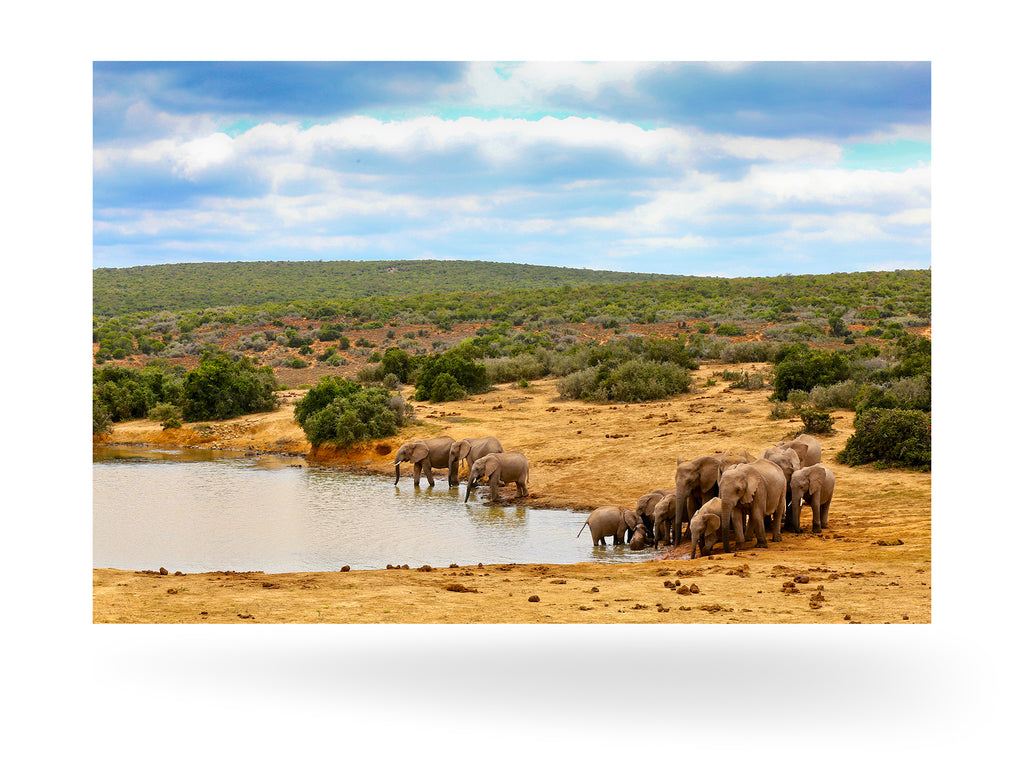 Port Elizabeth, Südafrika