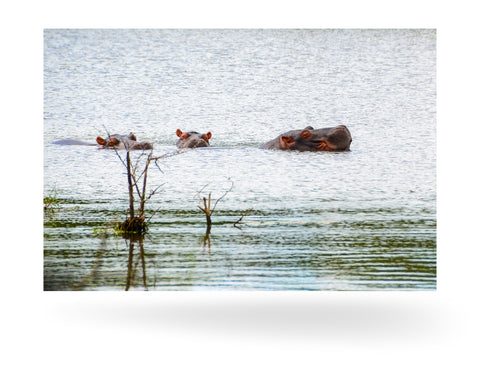 Richards Bay, Südafrika