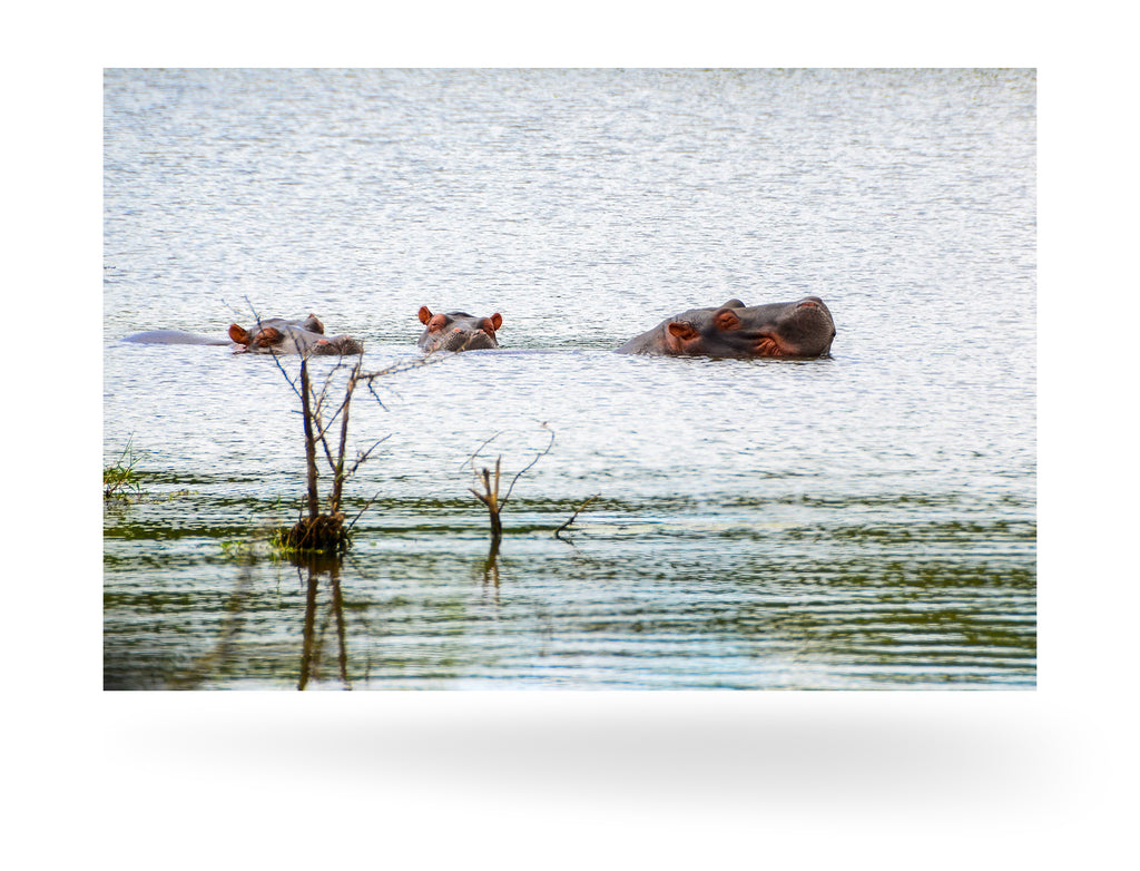 Richards Bay, Südafrika