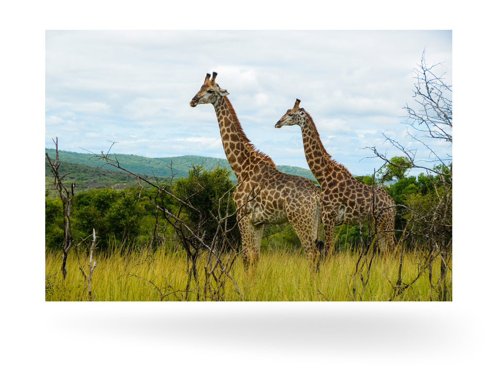 Richards Bay, Südafrika