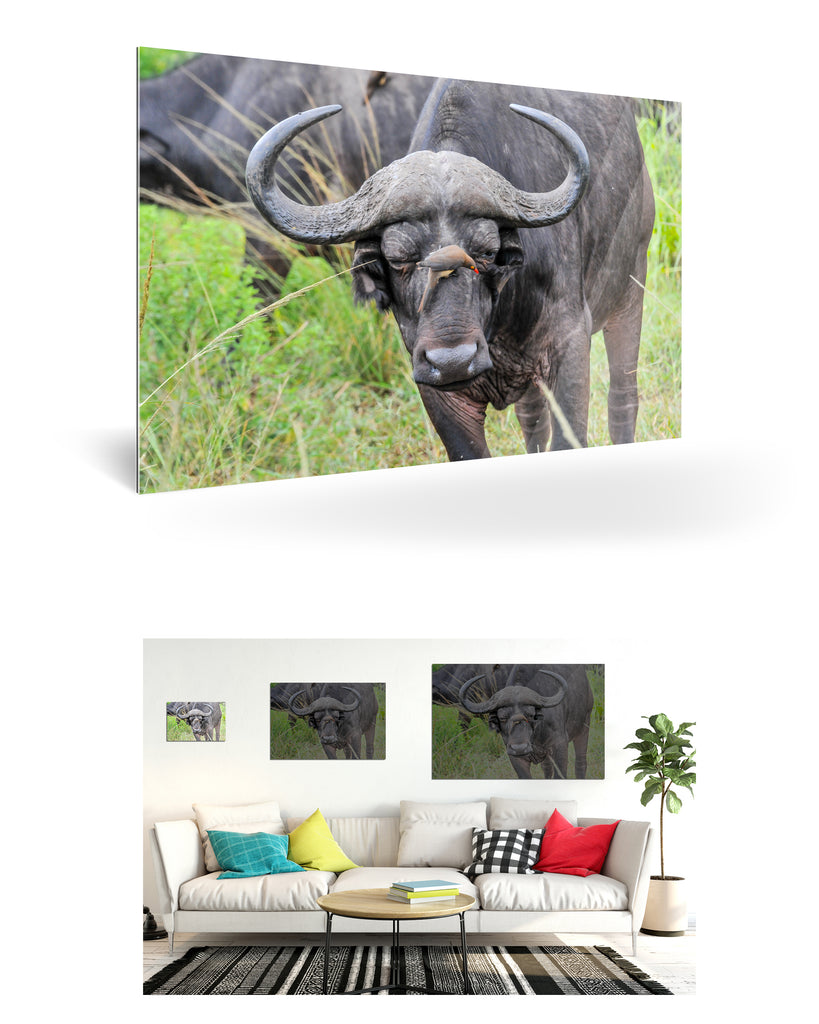 Richards Bay, Südafrika