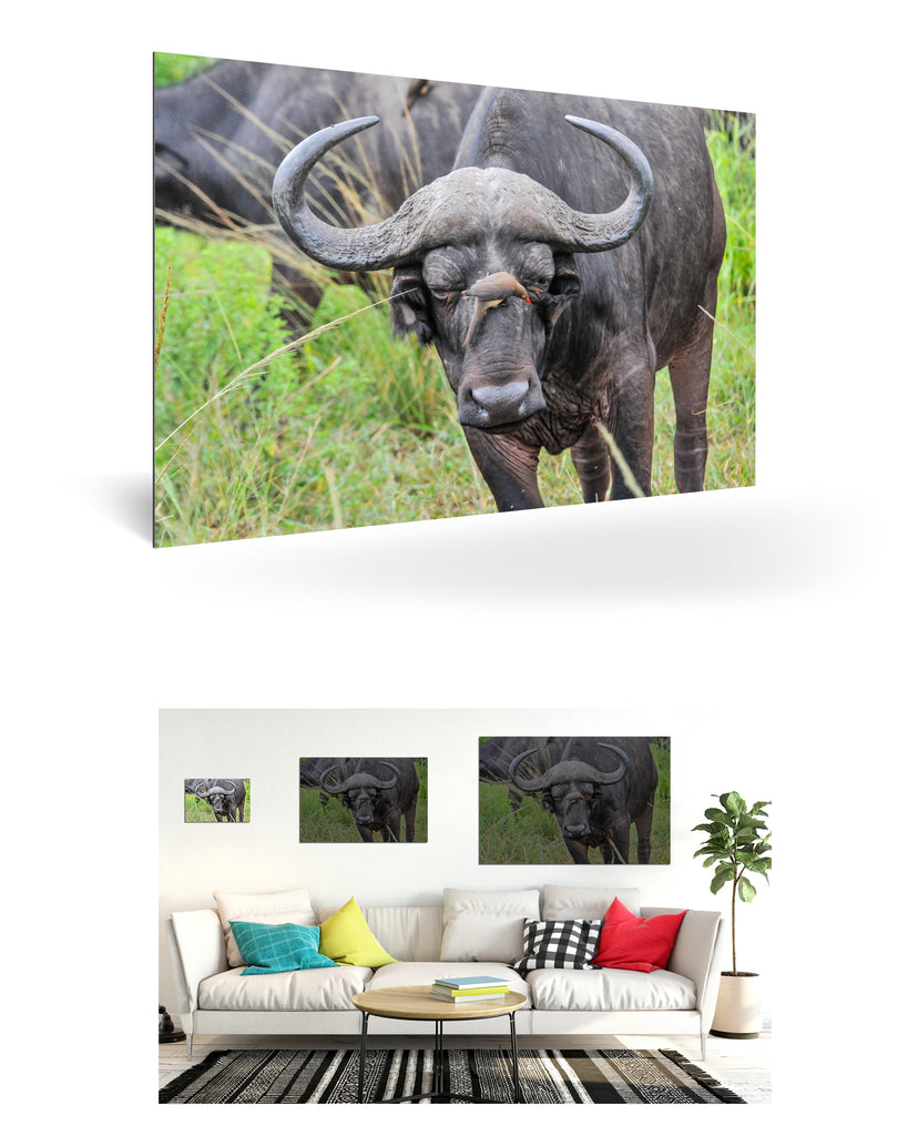 Richards Bay, Südafrika