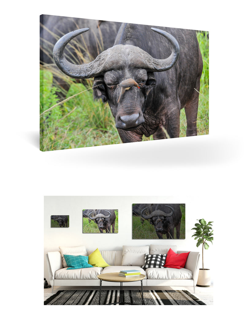 Richards Bay, Südafrika