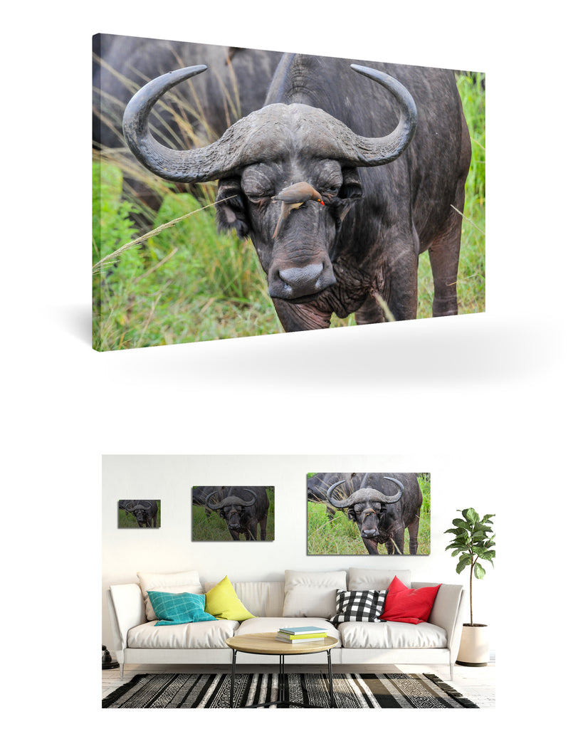 Richards Bay, Südafrika